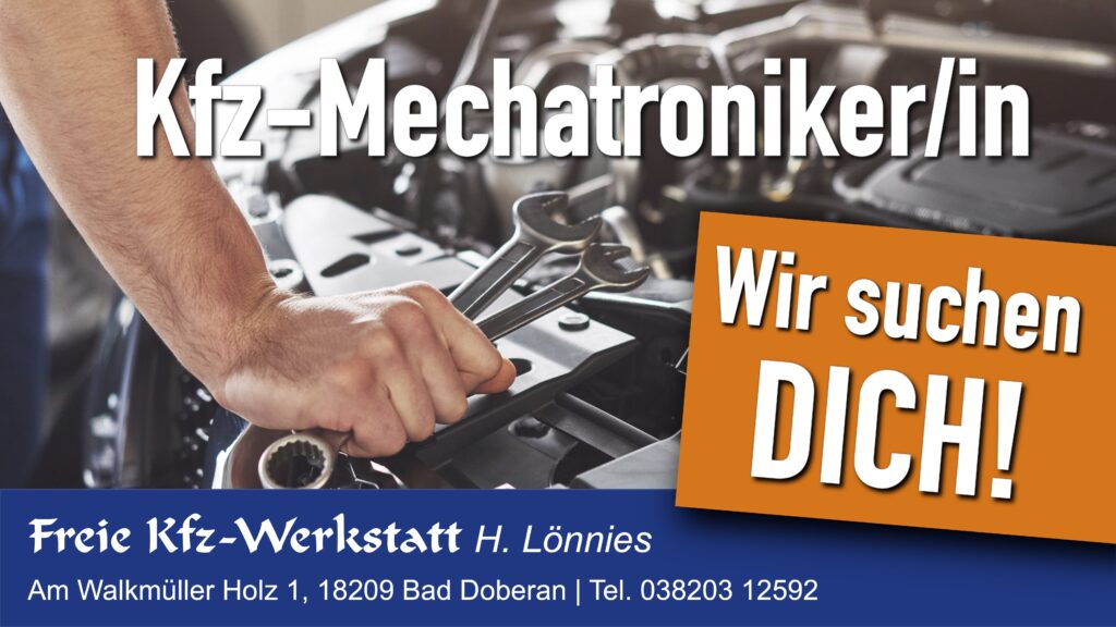 Rückenstütze Lendenwirbelstütze Auto - Massage für Auto - Sitz in Bad  Doberan - Landkreis - Kühlungsborn